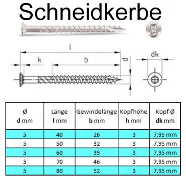 Niroxal Edelstahl Schrauben SPARSET TORX Senkkopf UND Schneidkerbe Schraube für Holz