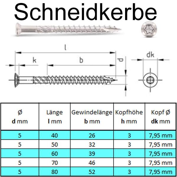 Niroxal Edelstahl Schrauben SPARSET TORX Senkkopf UND Schneidkerbe Schraube für Holz